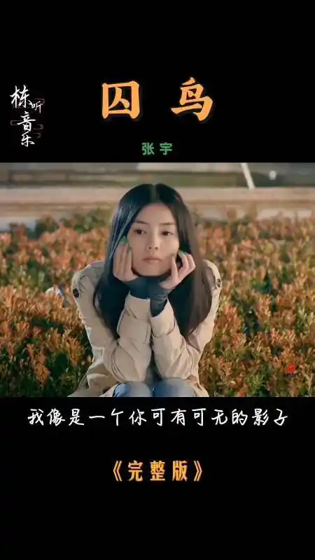 伤感歌曲#张宇经典老歌《囚鸟》,走心演绎,让人感悟最多的是心碎