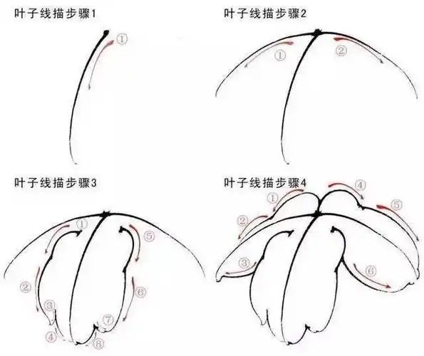 工笔牡丹步骤画法图文教程,超全面,大爱!_花头_胭脂_叶子