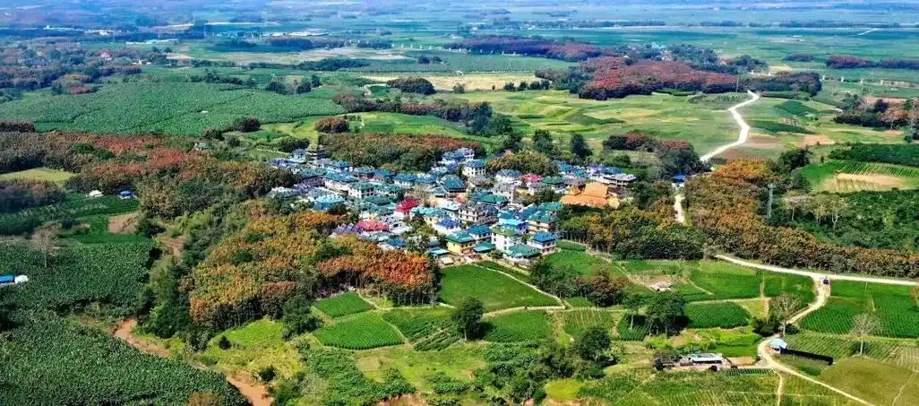 【绿美西双版纳】绿美建设提升村庄"颜值"_要闻_西双版纳_云南网