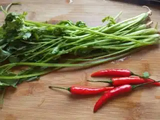 白萝卜香辣凉拌菜   新文美食,香菜洗干净,小米辣椒洗干净.