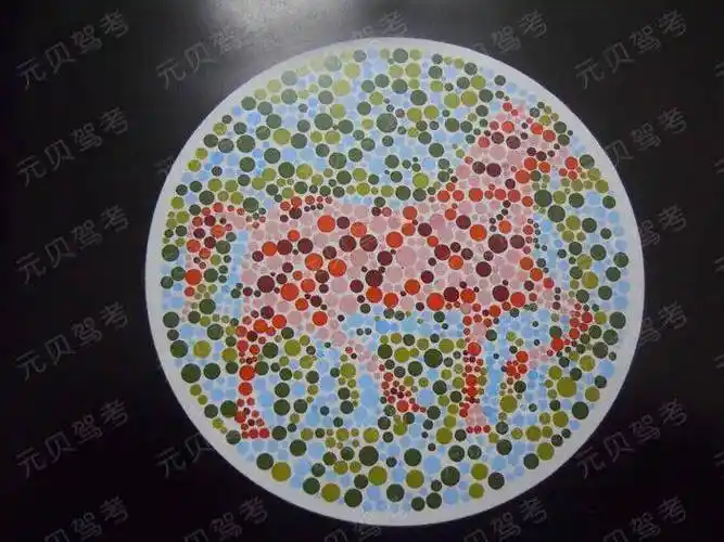 (内附色盲测试)_搜狐汽车_搜狐网