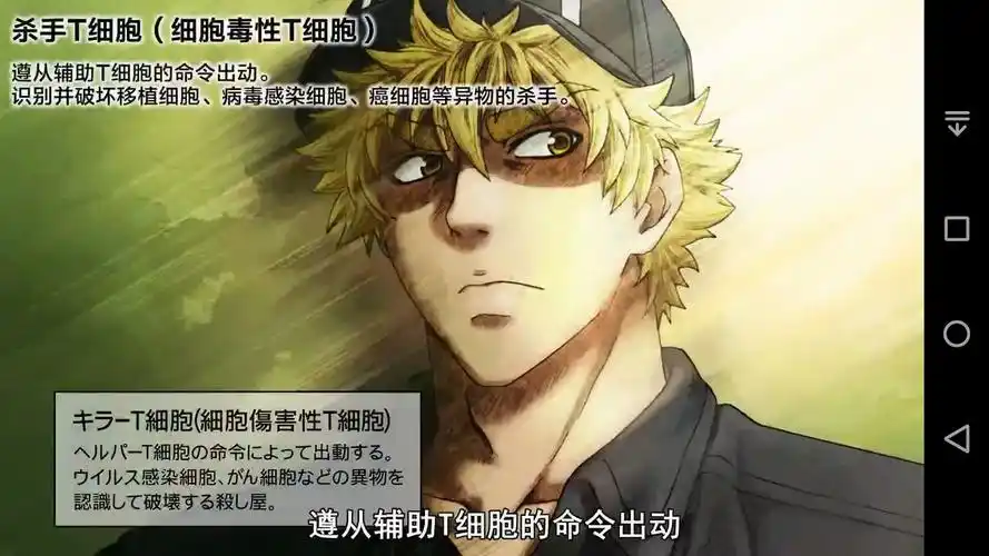 杀手t细胞 凶猛的细胞