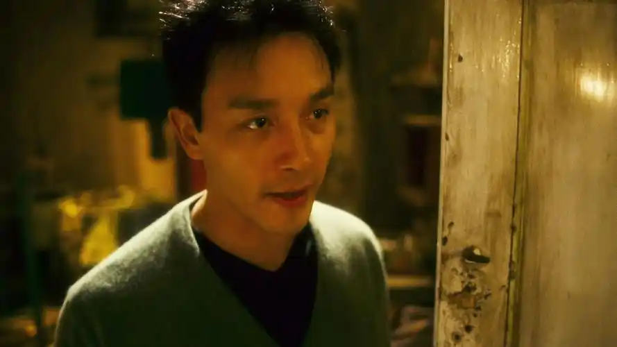 p>《春光乍泄》是由 a href="#" data-lemmaid="373607">王家卫 /a>