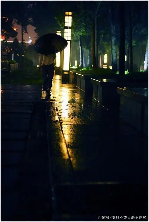 细雨纷飞的夜晚,总是如此寂静,远处的路灯只见微弱的点点泛着黄.