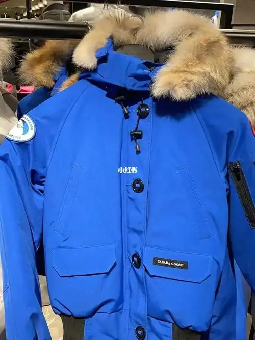 大鹅北极熊款chiliwack