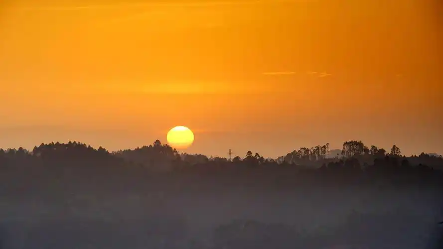 今天早上拍日出