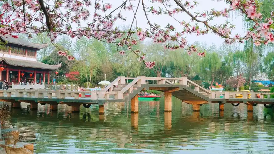 2021海西公园游玩攻略,春天是海西公园最美的时候,. 【去哪儿攻略】