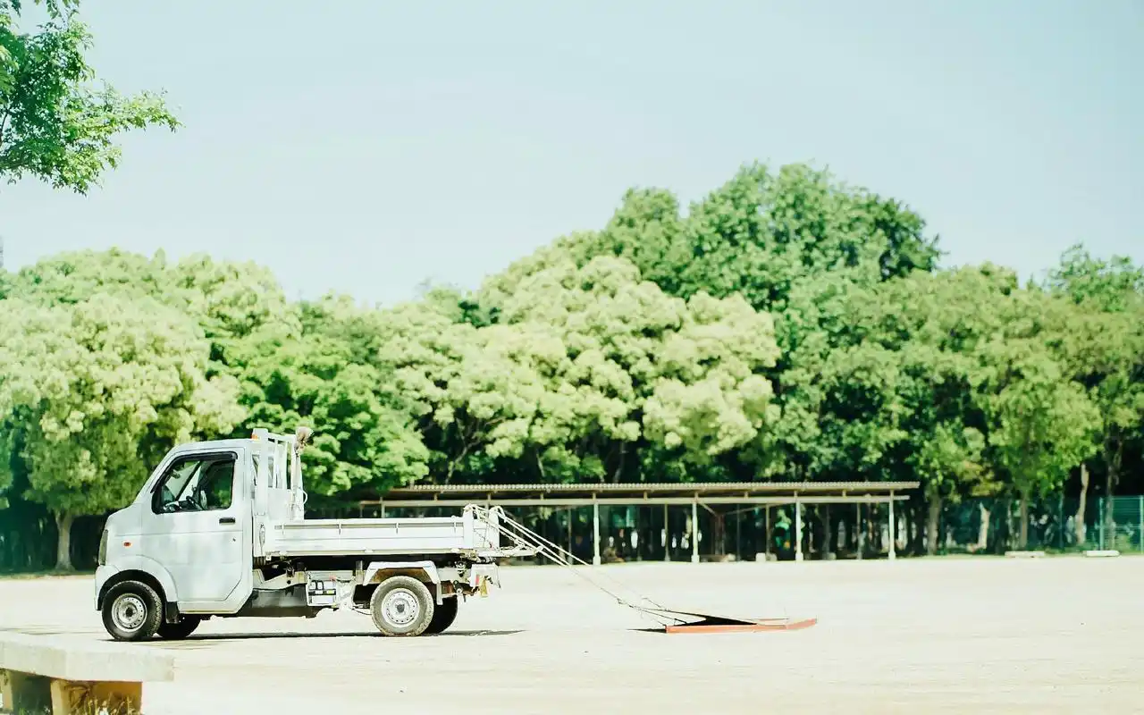 绿色小清新护眼文艺高清壁纸