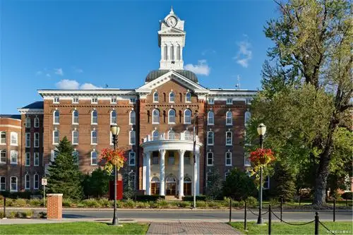 alevel热门的专业选课指南