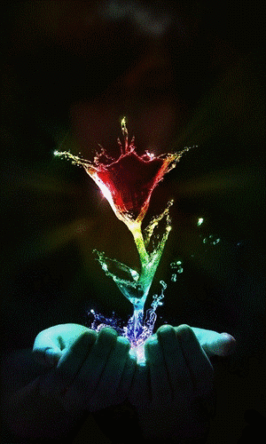 480_800竖版 竖屏gif 动态图 动图