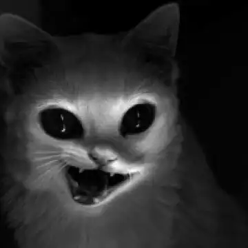 重口味诡异恐怖个性头像2020深黑色的夜晚