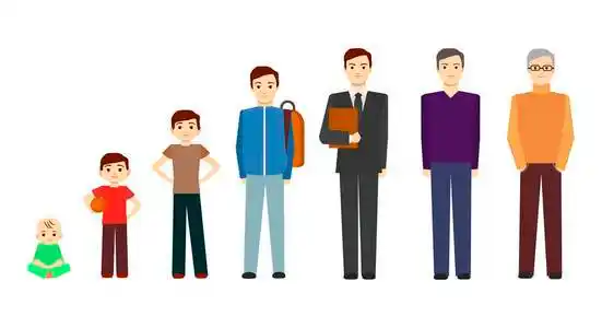 成长人物矢量的卡通阶段照片