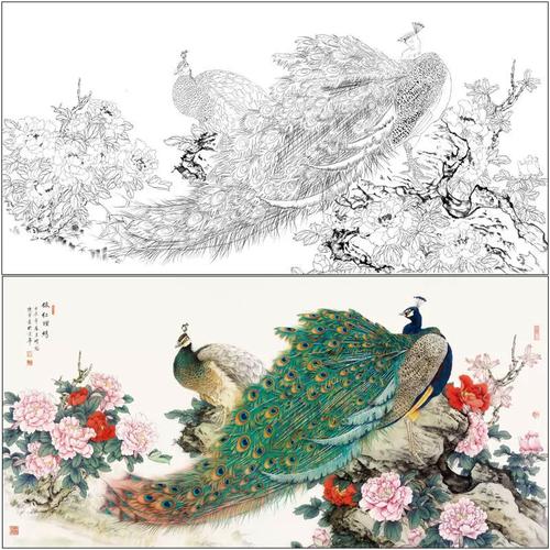 【有步骤】工笔画白描底稿孔雀素材陈军《依红理绣》打印线描画稿