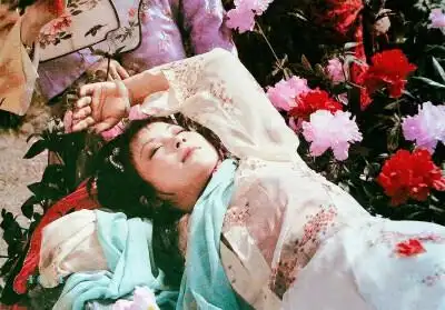 湘云醉卧芍药裀