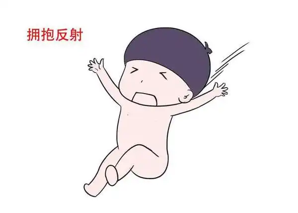 拥抱反射当父母用一手支撑住宝宝的肩膀时,另一手将其头部抬高15度,再