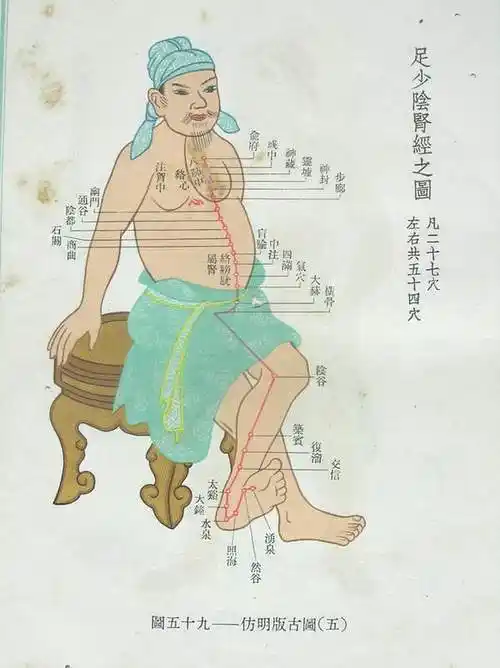 图解十二经络奇经八脉▎真气运行线路循环功能