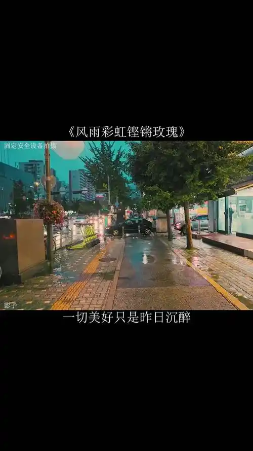 励志 田震 经典老歌 风雨彩虹铿锵玫瑰