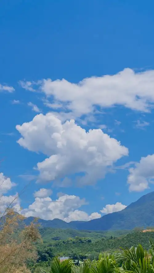 690_1227竖版 竖屏