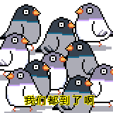 求这套完整版的鸽子表情包