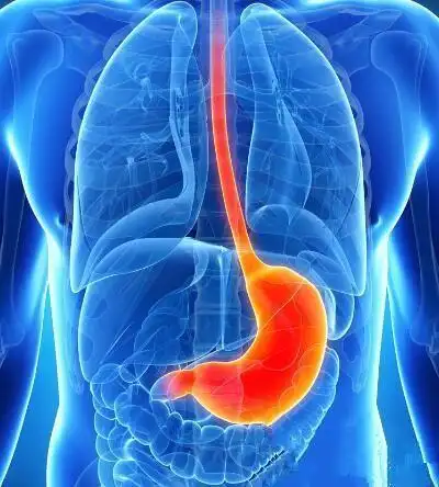 脾胃湿气重怎么办 教你6个妙招逼出湿气