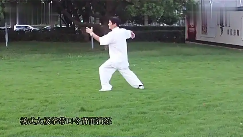 李正清杨式85式太极拳背面带口令演练(3)