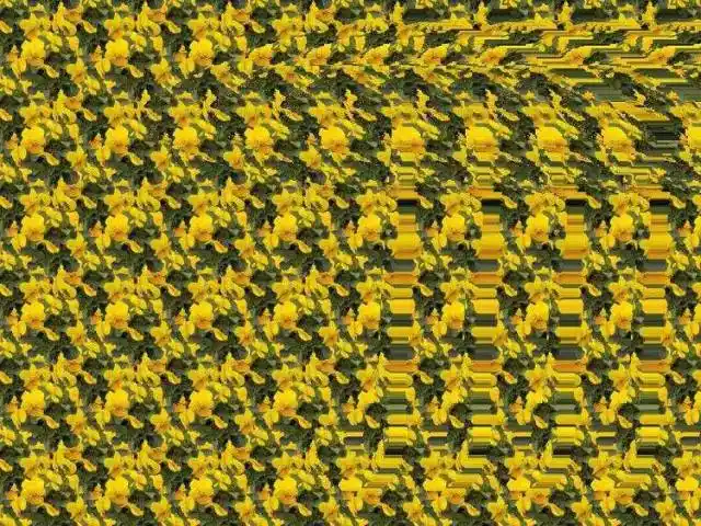 很神奇三维立体图像你能看出来几个呢