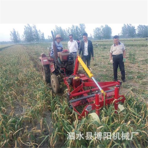 全自动多功能大蒜收割机金乡畅销单缸四轮前置大蒜收获机供应