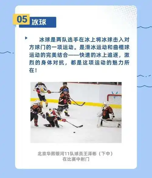 冬奥知识小课堂一图了解冬奥会运动项目