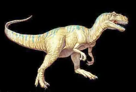 兽脚亚目/8897559" data-lemmaid="8897559">兽脚亚目 /a>恐龙的一属