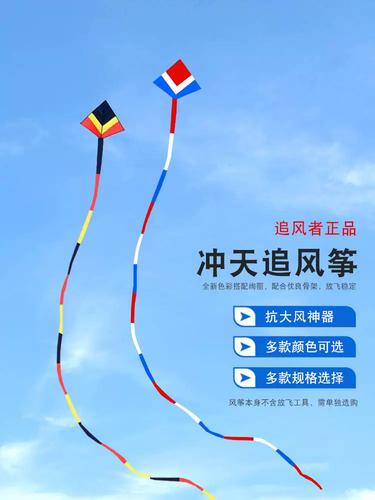 追风者新款冲天追风筝544软伞布抗风大型成人三角硅胶伞布带长尾