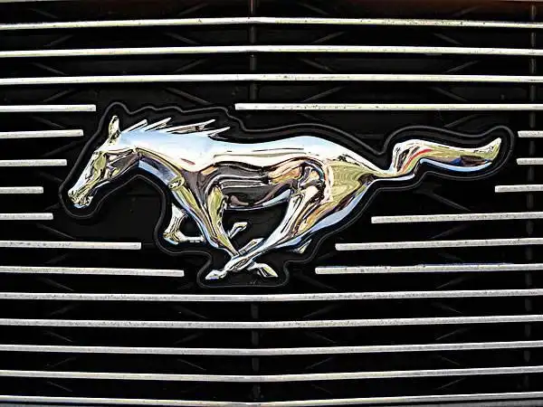 这14个车标都是动物进口的却一个也养不起