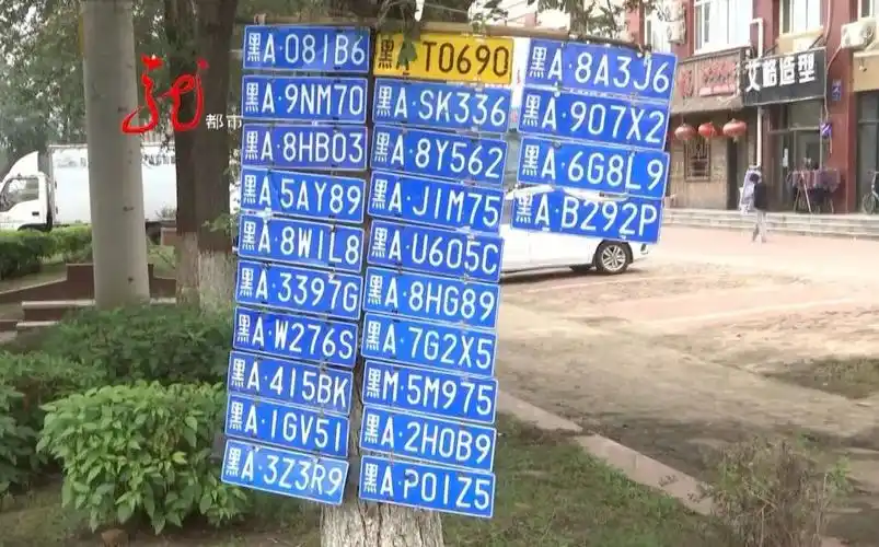 哈尔滨_新浪新闻