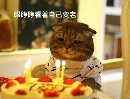 生日快乐表情包搞笑幽默点击进来收获快乐沙雕表情包