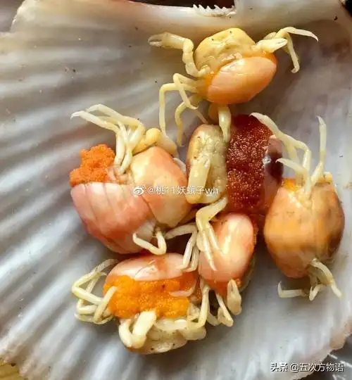 关于豆豆蟹的美文 _晶羽文学网