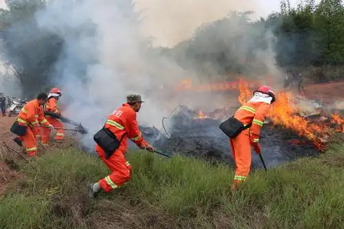 森林防火实兵演练,筑牢森林"防火墙"