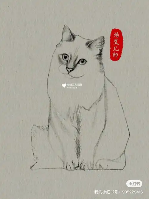 写实素描猫咪绘画教程