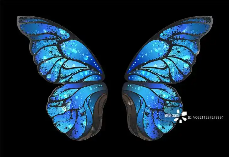 蓝蝴蝶翅膀