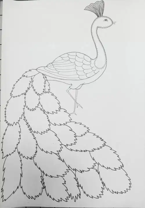 《孔雀》线描画绘画过程