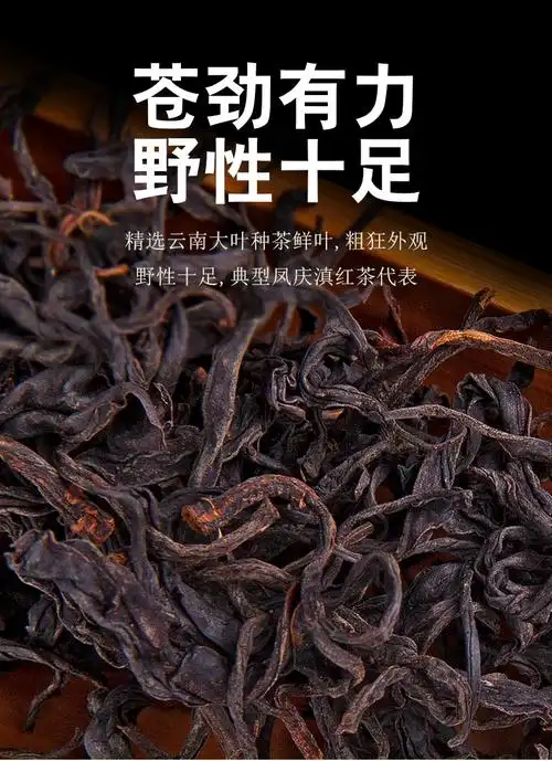 林中鹿 新茶春茶云南滇红茶2020年头春珍稀野红 云南古树红茶叶 10g