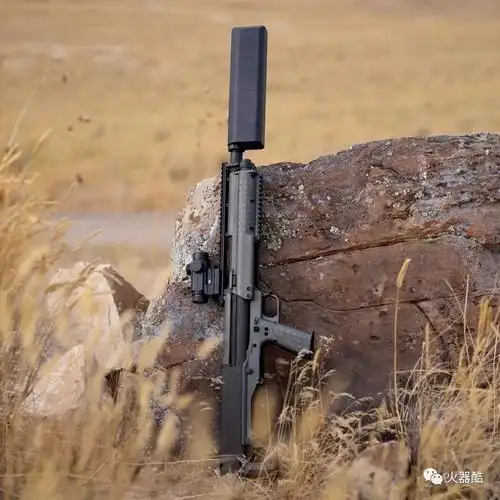 【著名的鱼鹰消音器】silencerco公司消音器美图欣赏