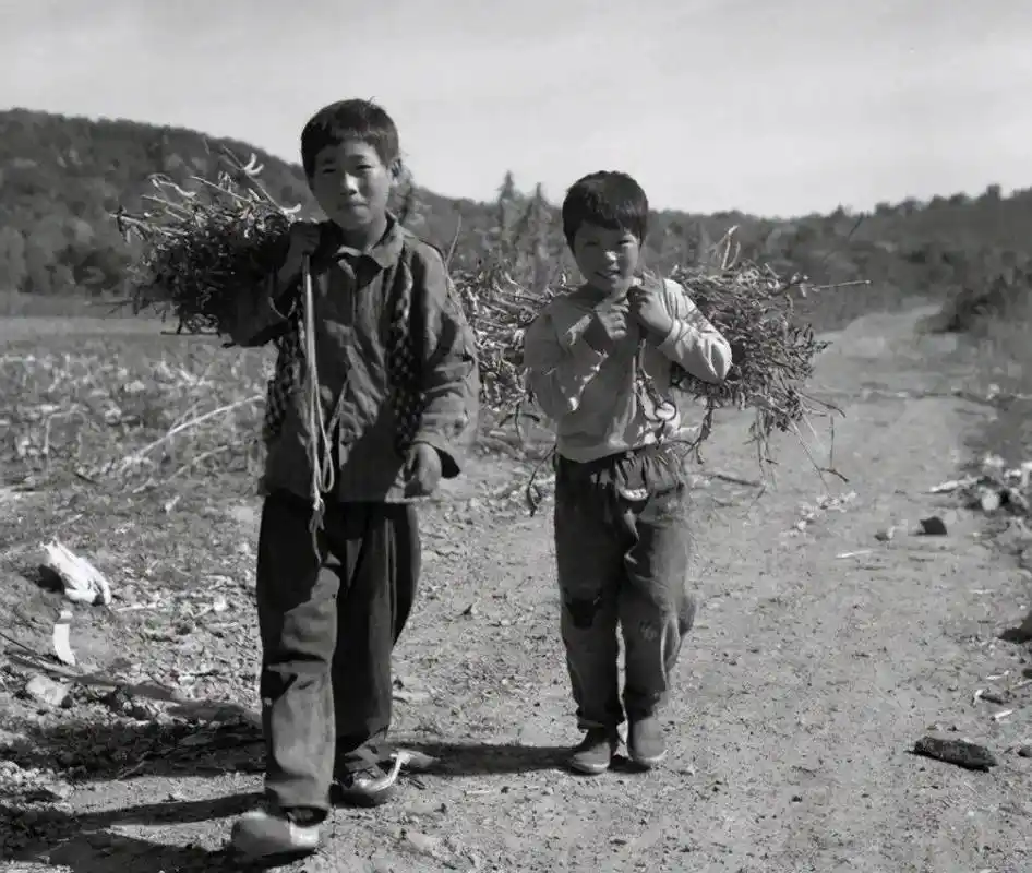 80年代的农村生活场景