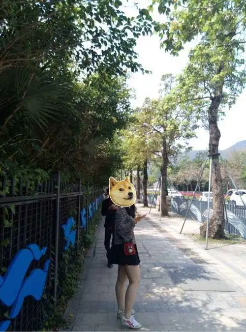 158cm110斤女孩照片 110斤女生图片-图片大观-奇异网