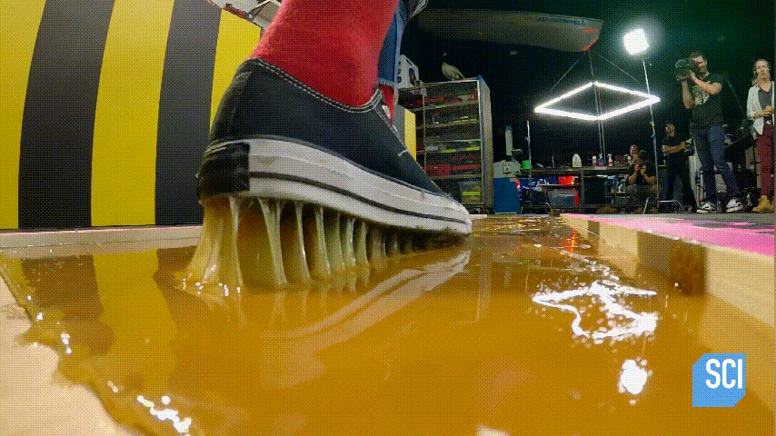 用一个巨大的胶水陷阱抓住一个人!