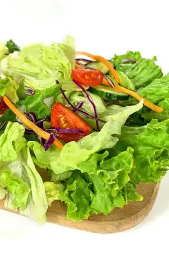 蔬菜沙拉即食生吃混合3包600g 开袋即食蔬菜健身沙拉套餐生菜新鲜