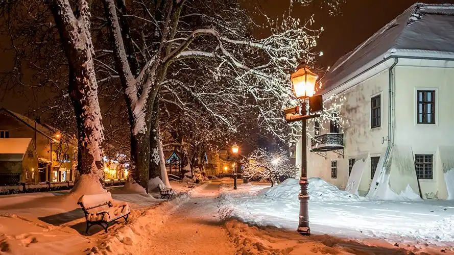 房屋,冬季,萨格勒布,samobor,晚上,雪,街灯,树,长凳,街道,城市,照片