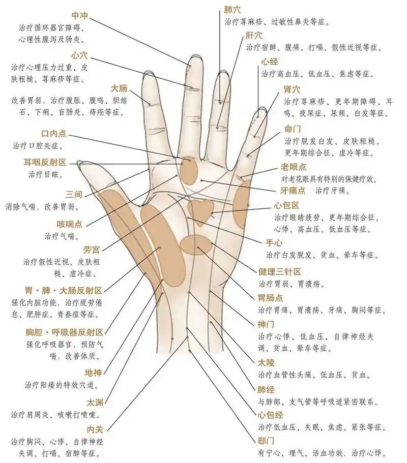 手掌穴道——看身体健康