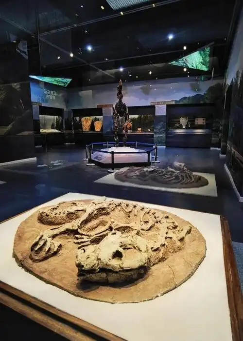 的羽毛……"乐·土——辽宁古生物化石精品展"日前在辽宁省博物馆开展