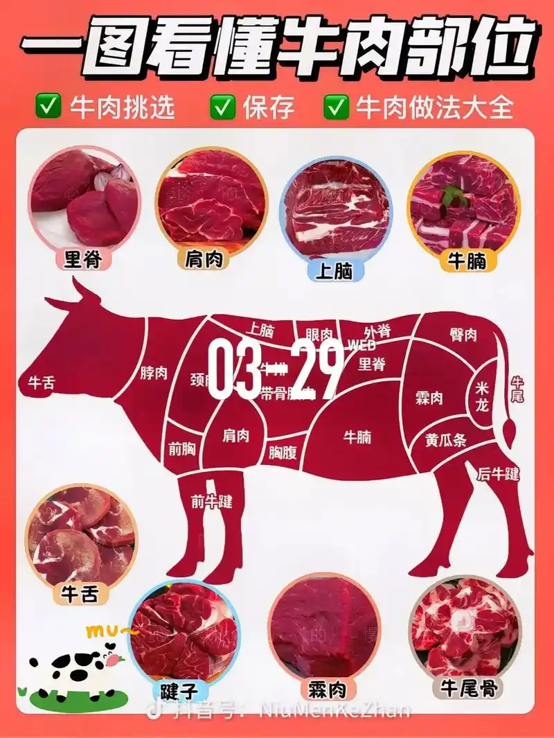 发一个牛肉分布做法 - 抖音