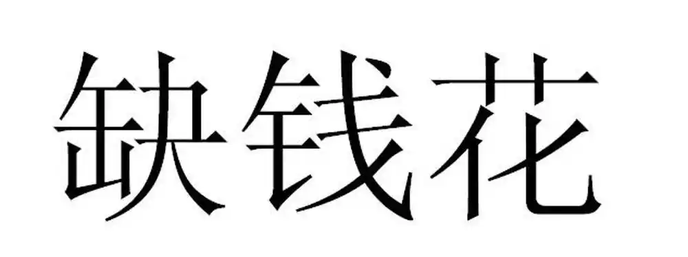 em>缺钱 /em> em>花 /em>