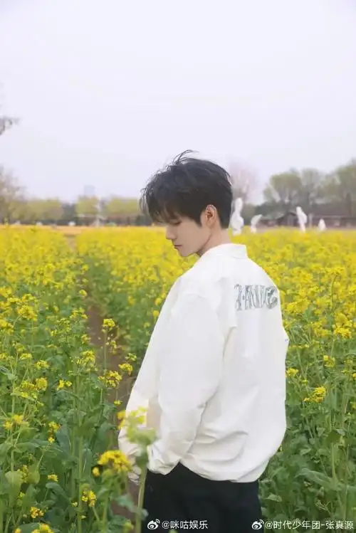 张真源油菜花田照##咪咕发声机